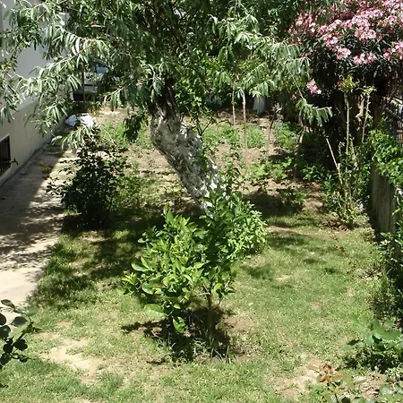 Liman Kuşadası